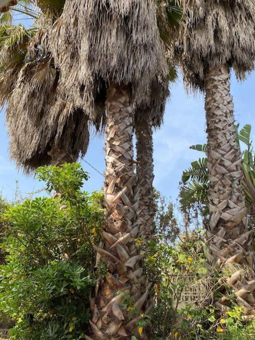 Casa De Campo En Playa Dosel 2 Mareny de San Lorenzo Εξωτερικό φωτογραφία